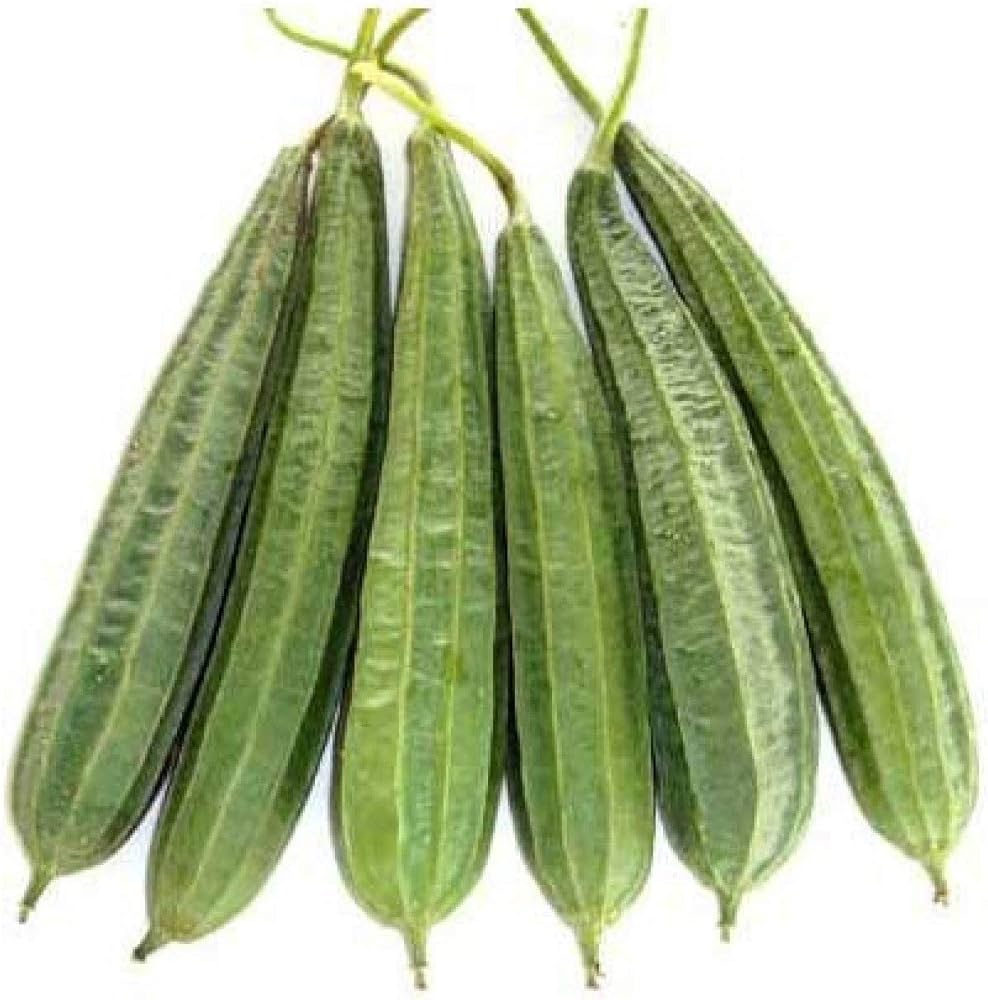 Thuriya (Ridge Gourd) 
