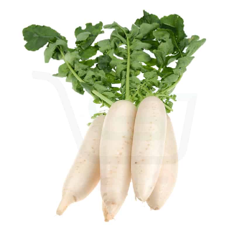 Mooly (Raddish) 