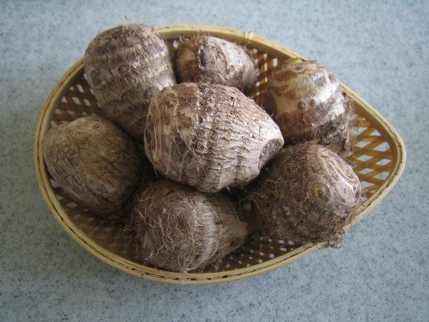 Taro Root (Pak Arvi) 