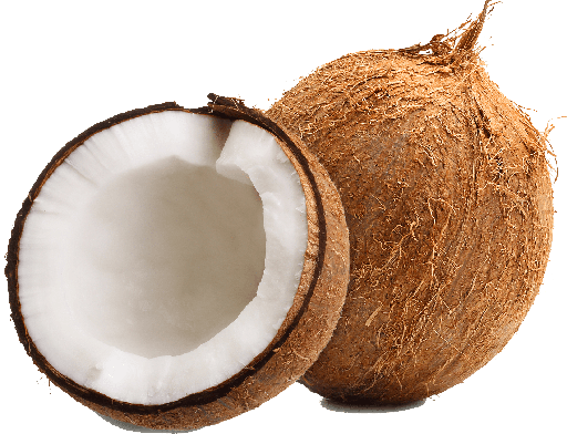 Coconut With Shell 