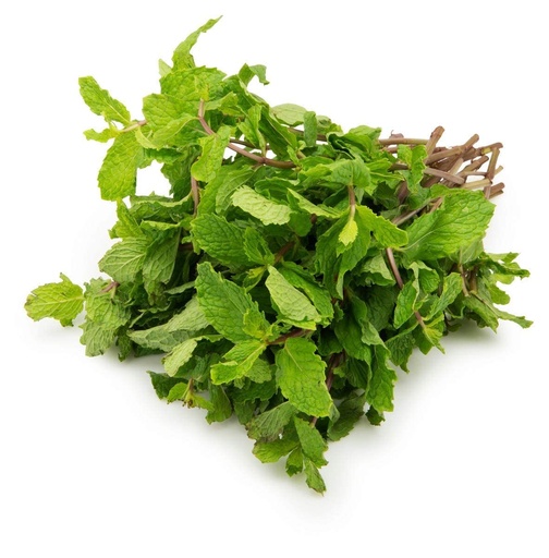 Fresh Mint Bunch 